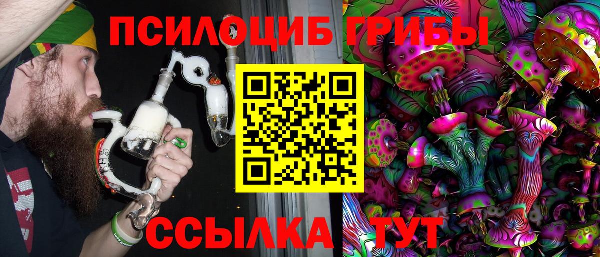 Галлюциногенные грибы Psilocybe Калининград