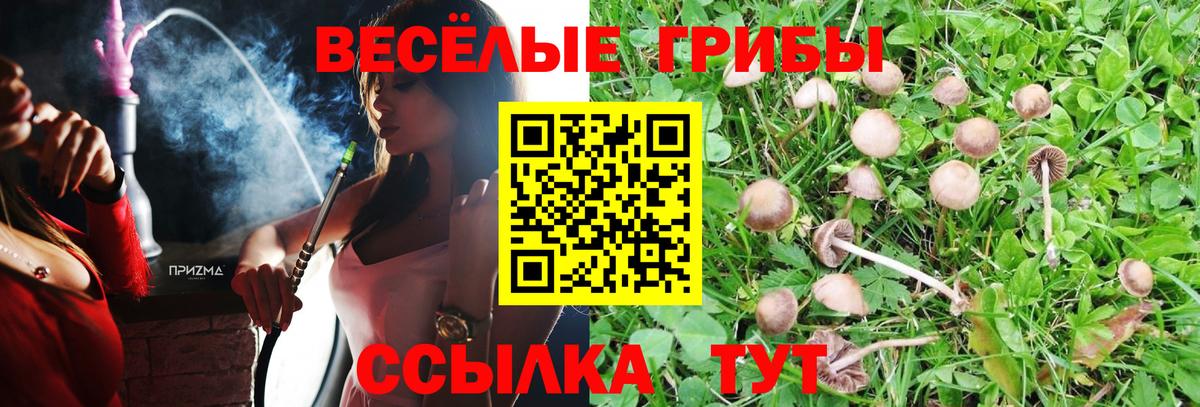Экстази  Меф МЯУ МЯУ  Калининград  ГАШ  Конопля  Меф МЯУ МЯУ   ГАШИШ  Вход с VPN 