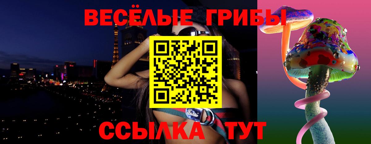 Псилоцибиновые грибы Cubensis  Вход с VPN  где купить   Калининград 